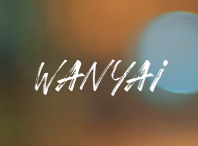 Wanyai แว่นใหญ่ - เจ็บจนพอ