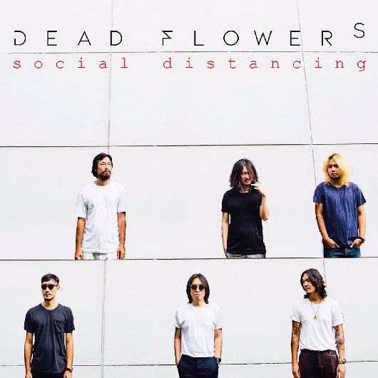 Dead Flowers