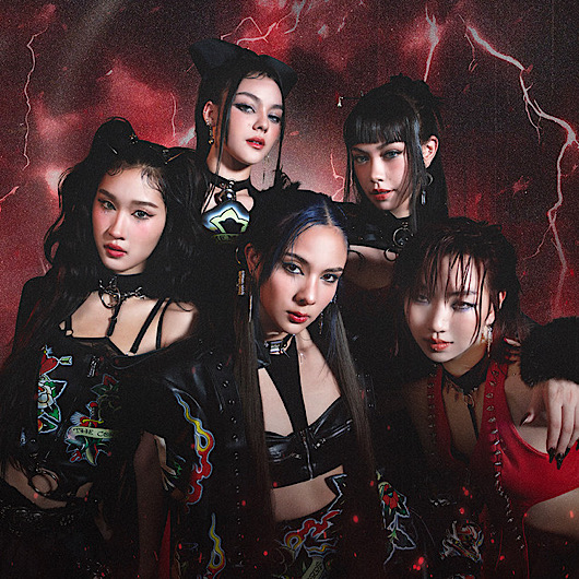 จ้าง VIIS